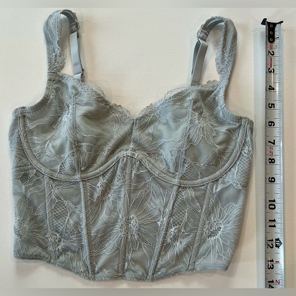 Gilly Hicks Lace Bustier in Soft Gray Floral Stitching Medium - Picture 2 of 9